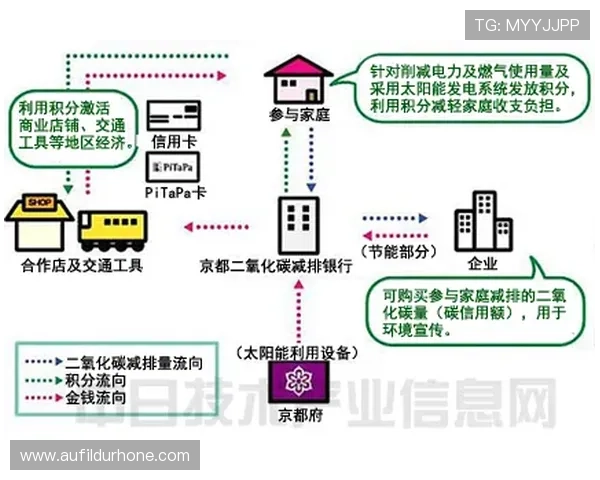 凯发体育直播平台的会员制度与积分奖励机制介绍